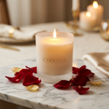 Midnight Rose — Ciryana luxury scented candle